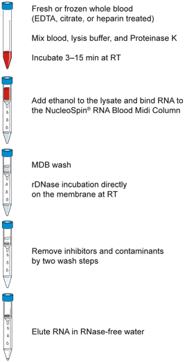 Nucleospin Rna Blood Midi